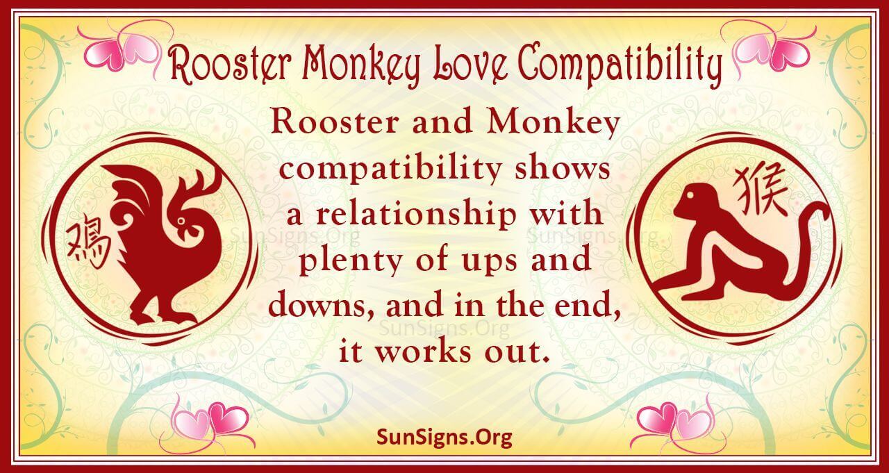 Monkey and Rooster Compatibility: Can They Get Along? Find Out Now!