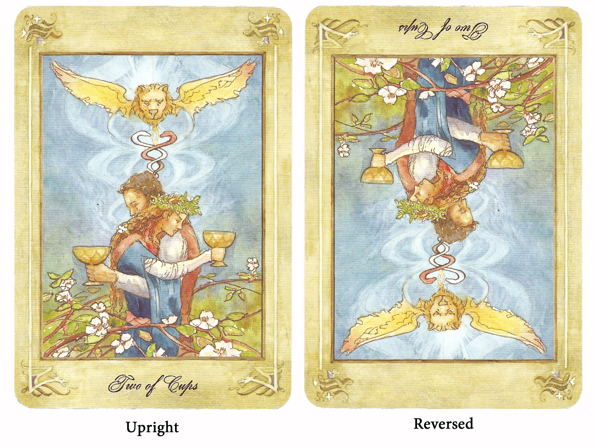 Upright versus Reversed: What is the difference between upright and reversed tarot cards? Unlock insights fast!