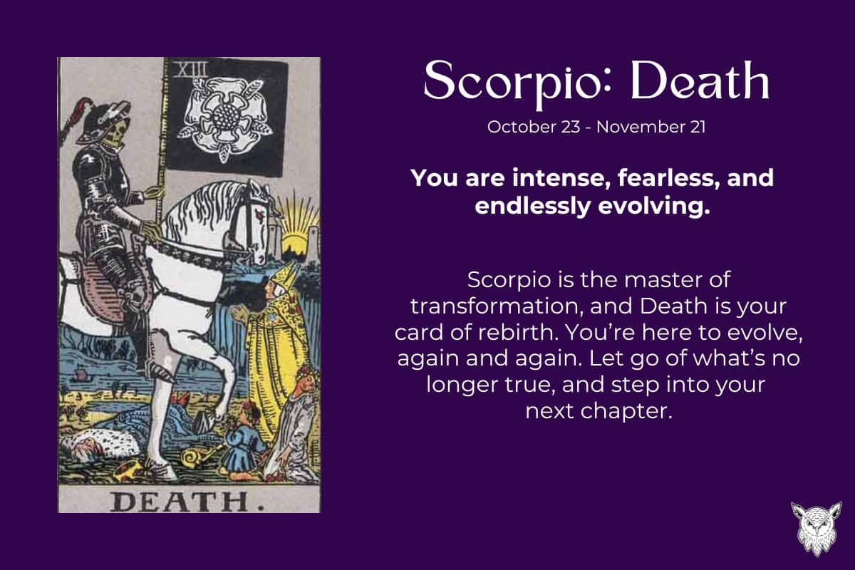 What Does the Scorpio Tarot Card Really Mean? Find Out Its Secrets for Your Zodiac Sign!