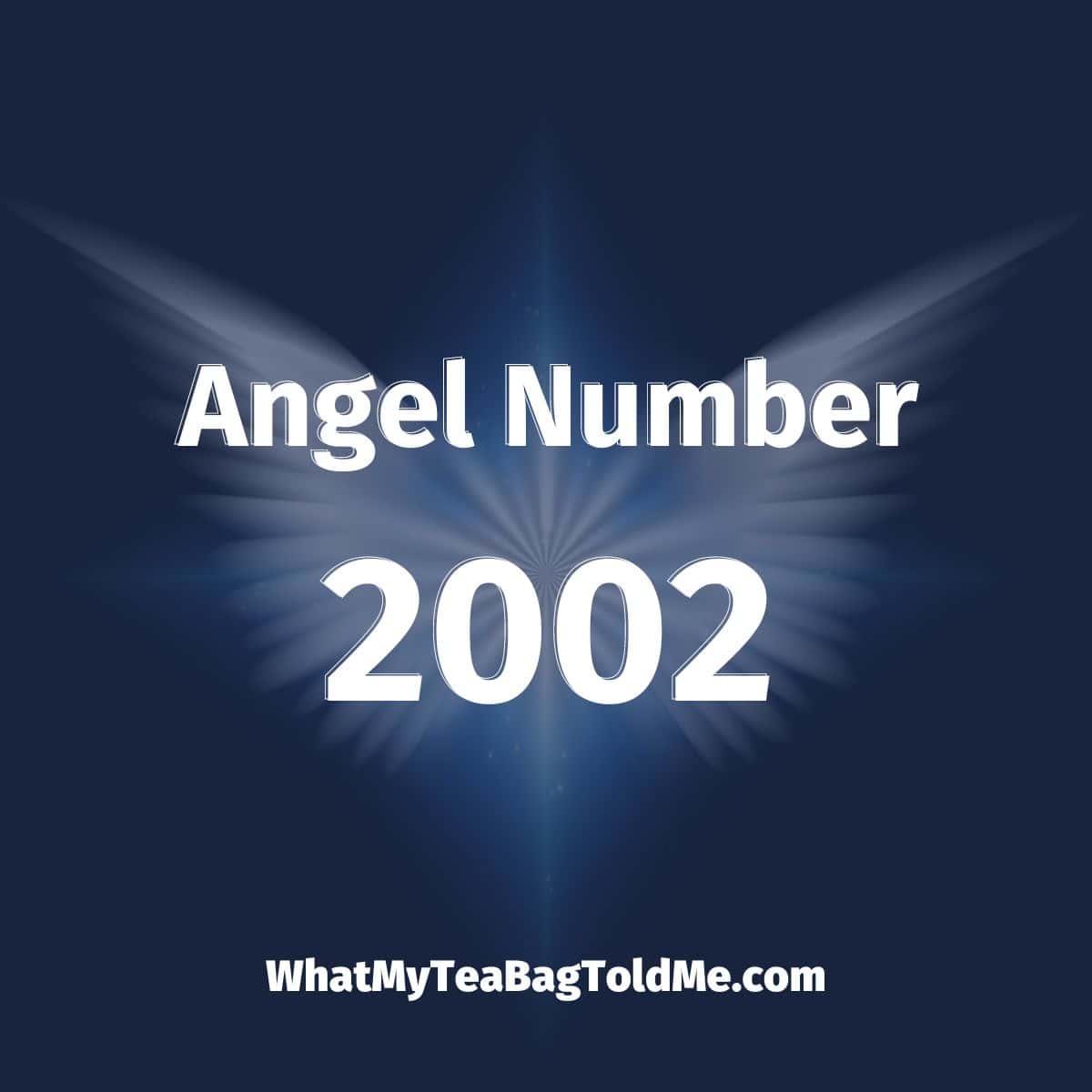 Seeing 2002 angel numbers a lot? Here's what you should do to understand their messages clearly.