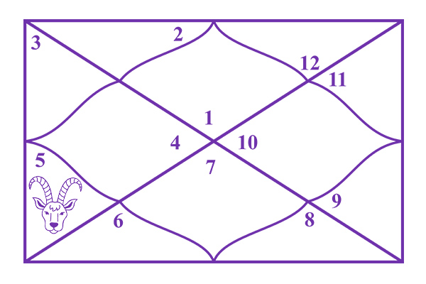 Capricorn in 5th House Astrology: Discover How Discipline Shapes Your Love Life, Creativity, and Inner Joy