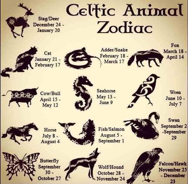 Which Celtic Animal Horoscope Sign Are You? Discover the Ancient Creature That Guides Your Life Path Now!