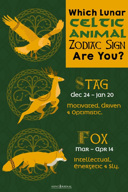 Which Celtic Animal Horoscope Sign Are You? Discover the Ancient Creature That Guides Your Life Path Now!