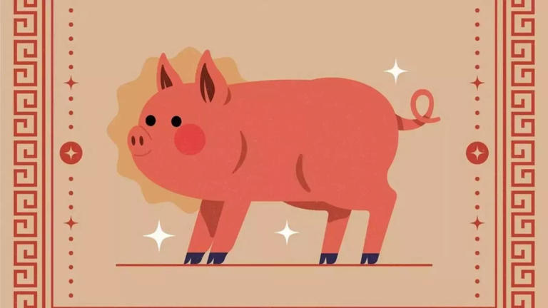 Pig Daily Horoscope Future What to Expect Soon For You