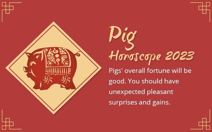 Pig Daily Horoscope Future What to Expect Soon For You