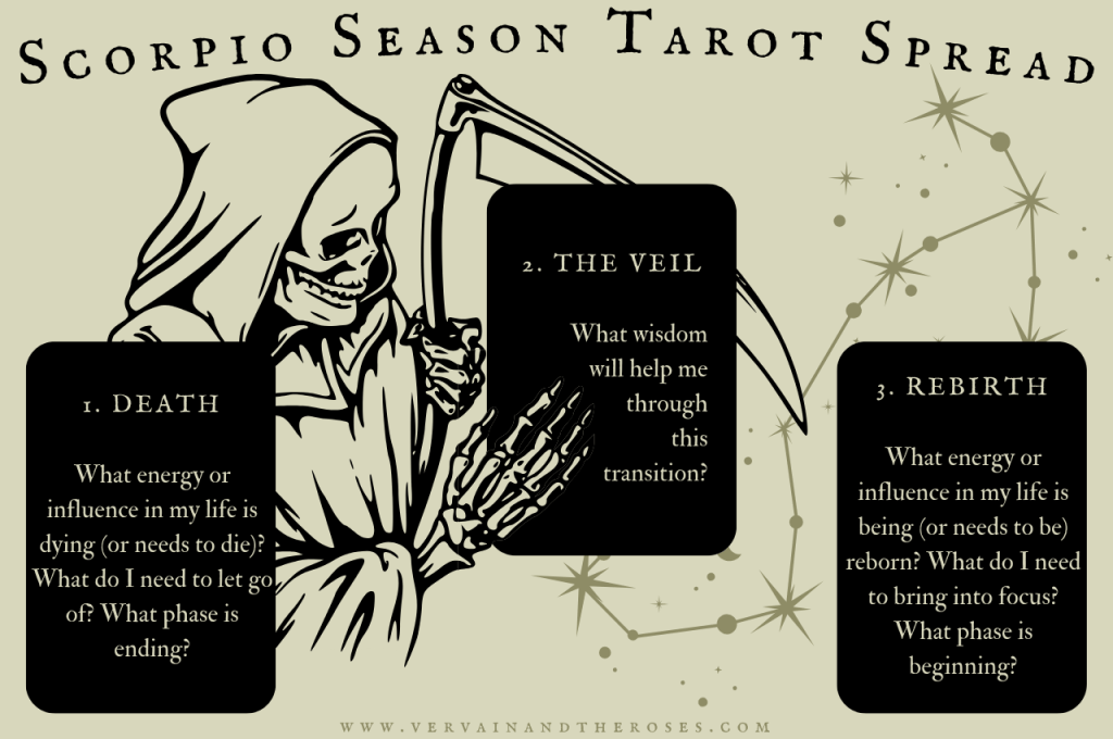 Scorpio tarot card combinations: Exploring relationships