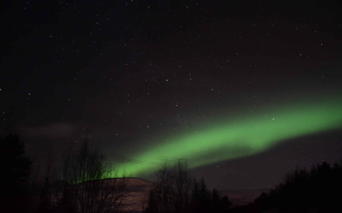 Find the andre 3000 zodiac sign easily here: Learn more about his personality through the stars.