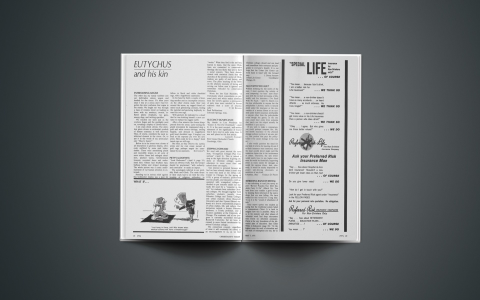 Angel Number 1213: The Mysterious Code to Your Financial Destiny