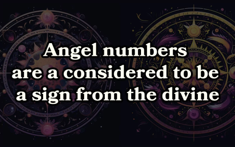 Angel number 833 appearing? See what does 833 mean in angel numbers for your personal growth.