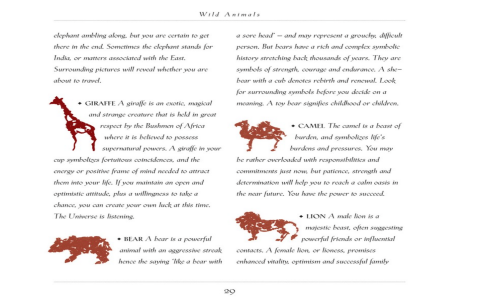 Astrology: Unveiling How Many Children I Will Have in the Future